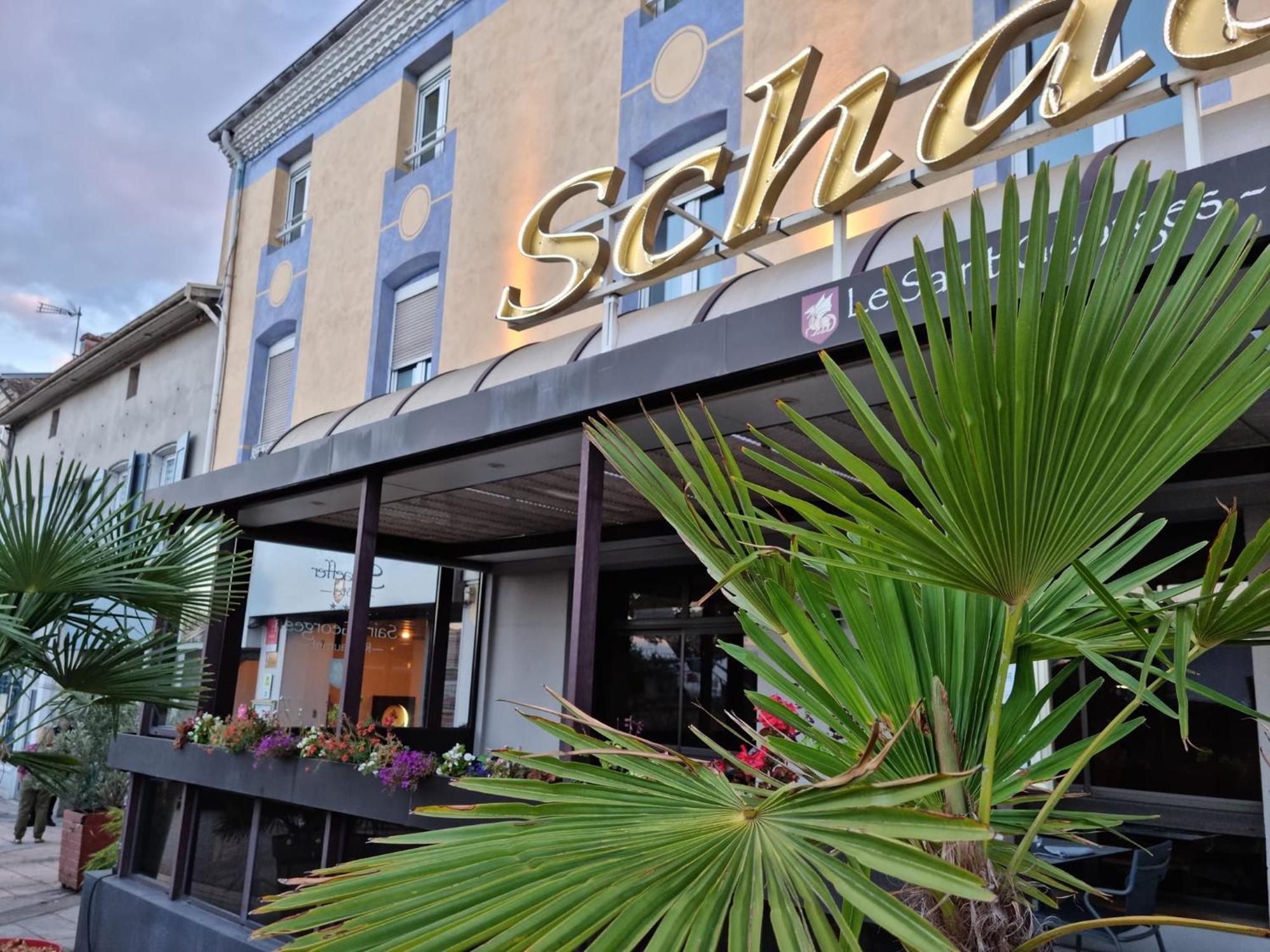 Logis Hotel Schaeffer- Restaurant Le Saint Georges Serrieres  Bagian luar foto