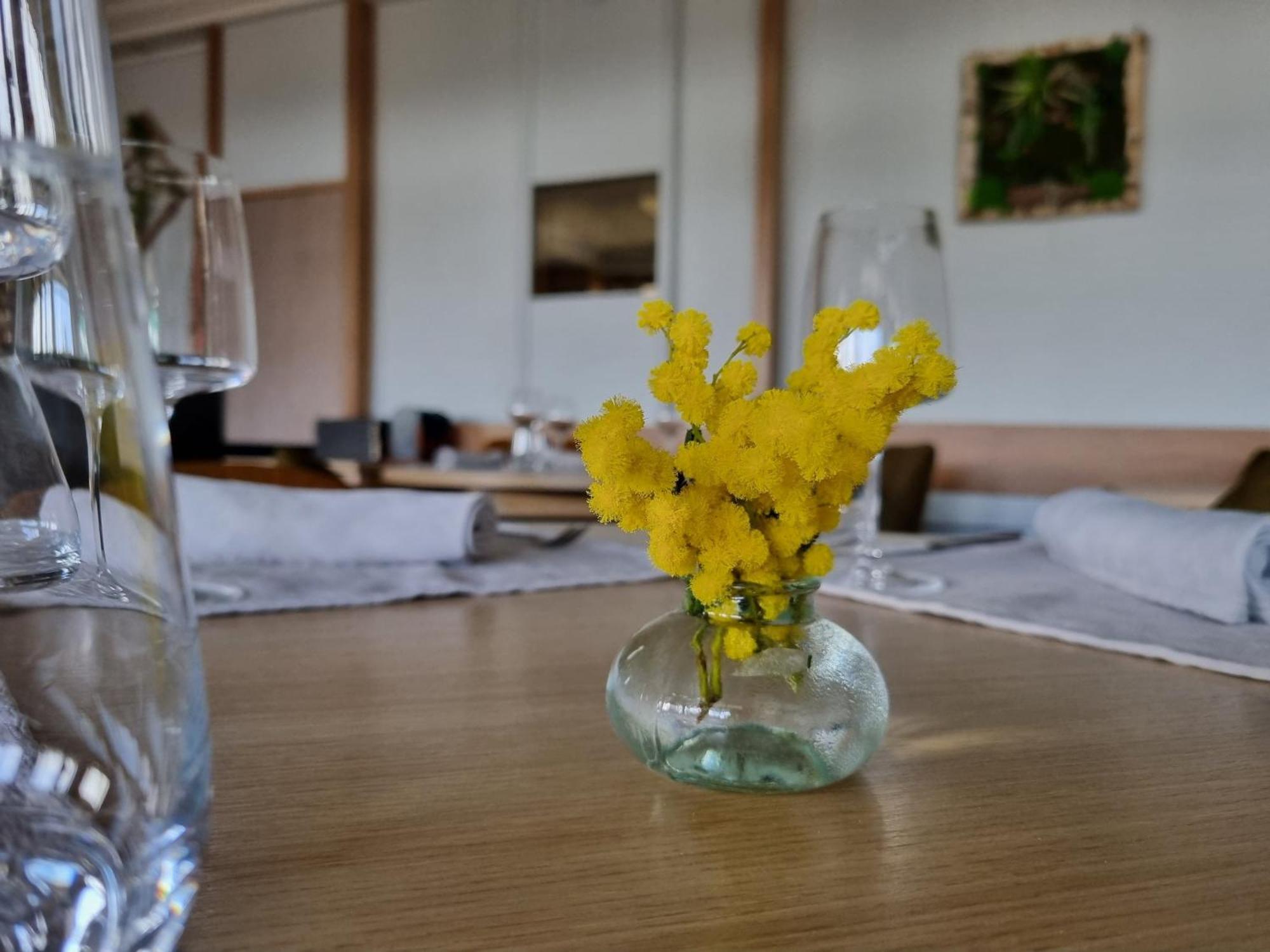 Logis Hotel Schaeffer- Restaurant Le Saint Georges Serrieres  Bagian luar foto
